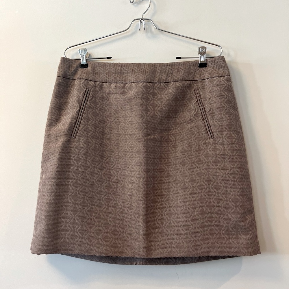 Ann Taylor Loft Skirt